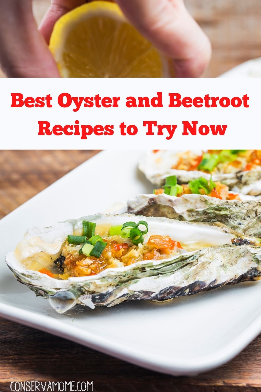 Best Oyster and Beetroot Recipes