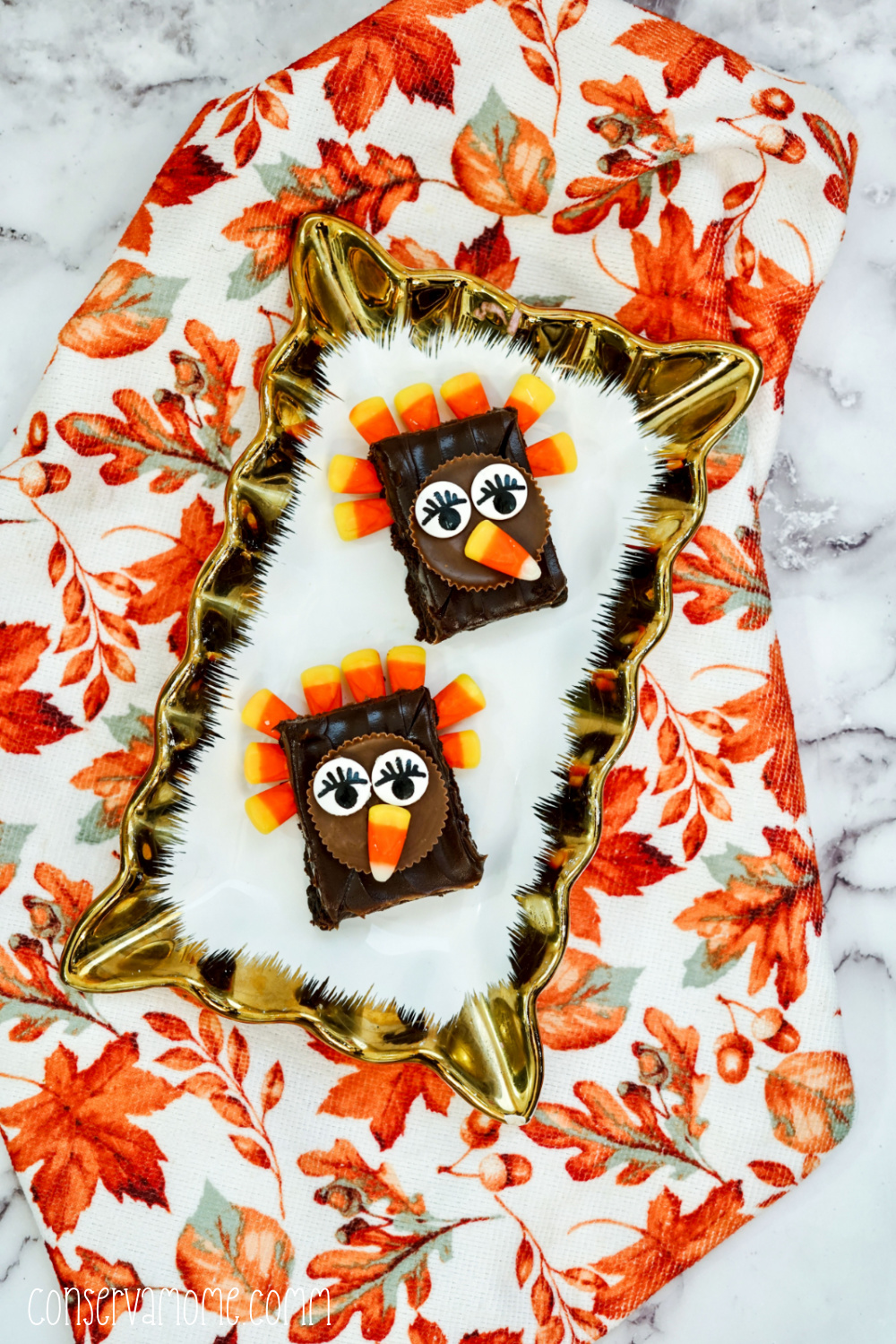 Whimsical and Fun Turkey Brownies