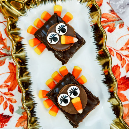 Whimsical and Fun Turkey Brownies