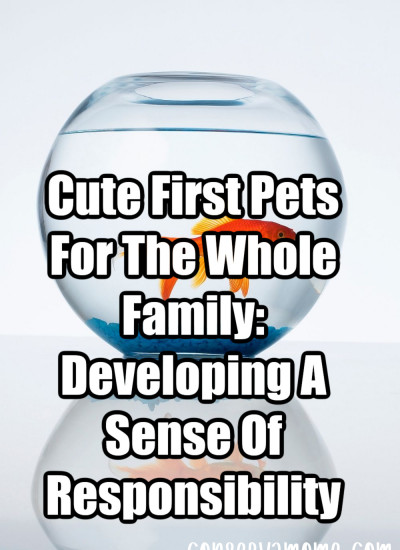 Looking For A Perfect Family Pet_ Here Are Top Small Dog Breeds