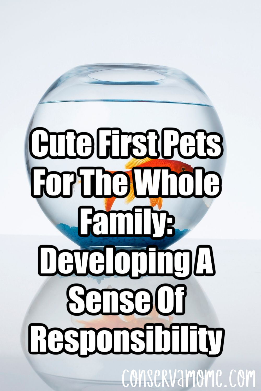 Cute First Pets For The Whole Family: Developing A Sense Of Responsibility