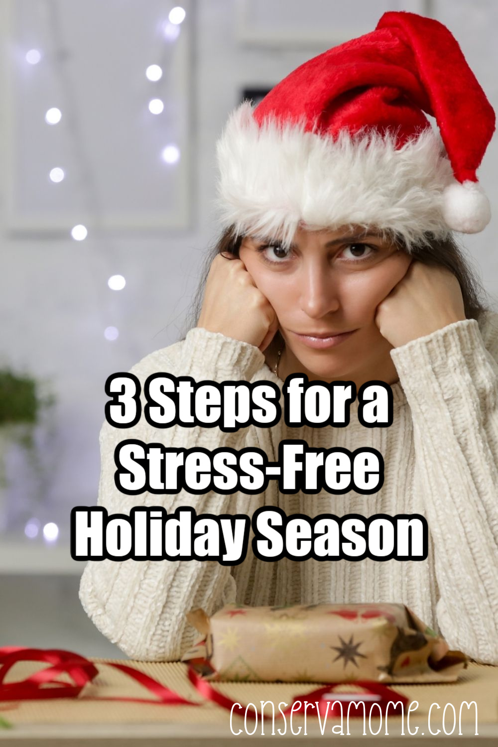 3 Steps For A Stress-Free Holiday Season - ConservaMom