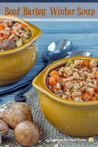 20 Quick & Cozy Winter Soup Recipes - ConservaMom