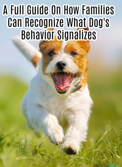 A Full Guide On How Families Can a Recognize Dog's Behavior