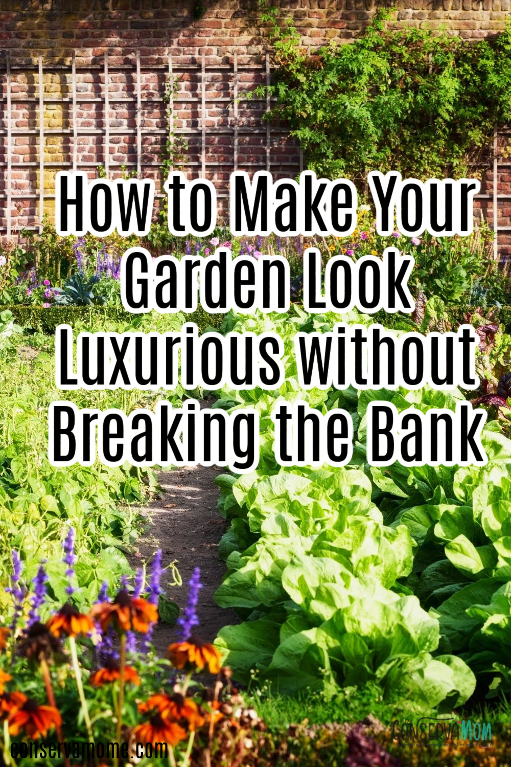 Make Your Garden gorgeous without Breaking the Bank