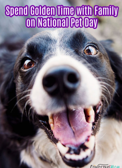 Spend Golden Time with Family on National Pet Day