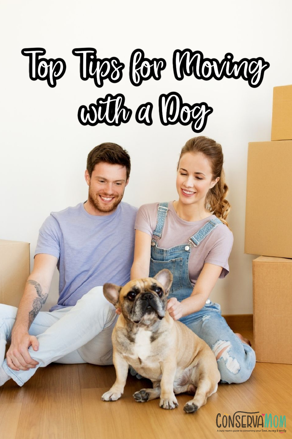 Top Tips for Moving with a Dog