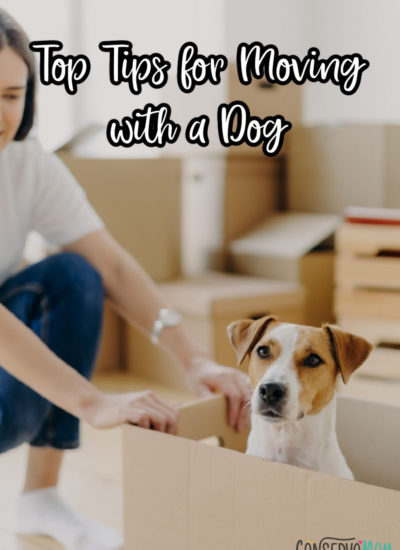 Top Tips for Moving with a Dog