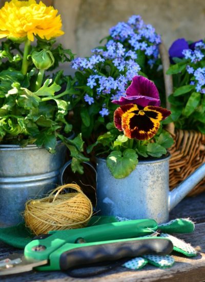 Top Hacks That Will Make Your Garden More Beautiful