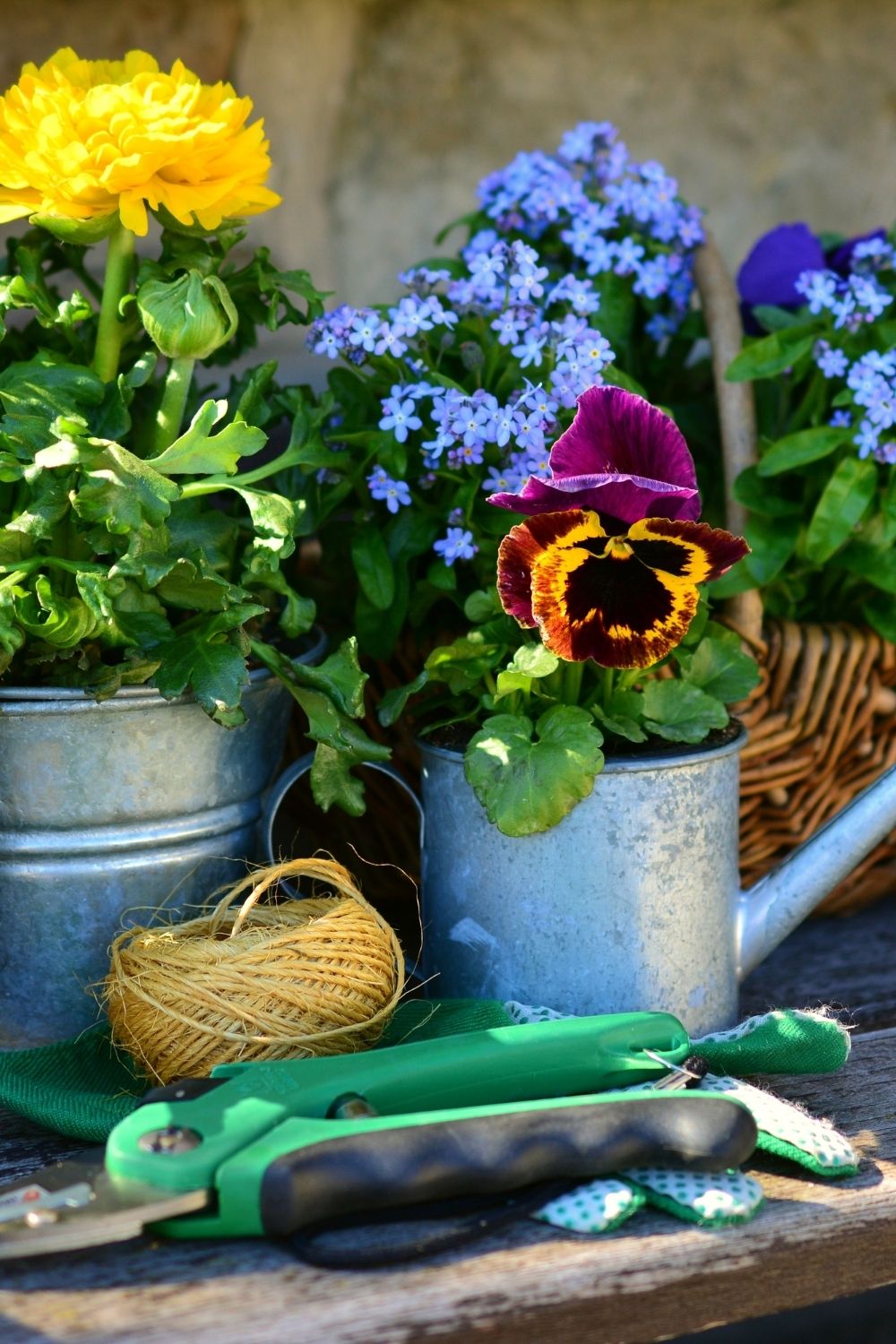 Top Hacks That Will Make Your Garden More Beautiful