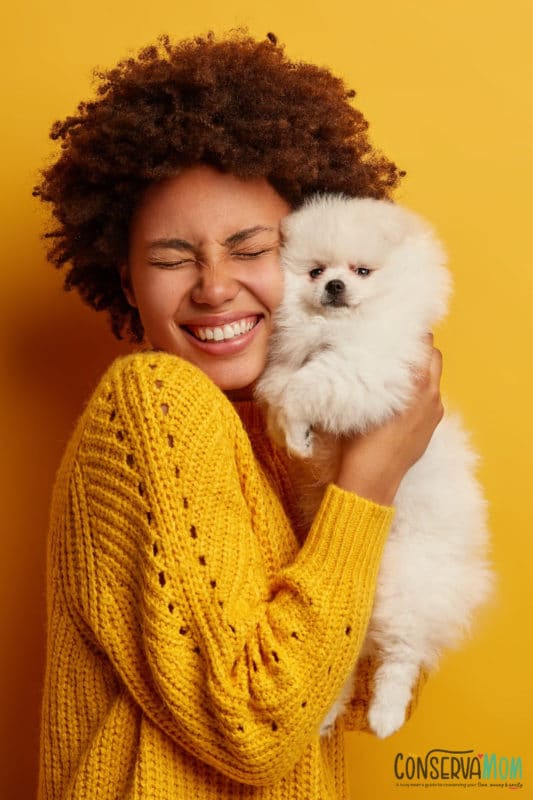 4 Helpful Tips to Improve Your Pet's Wellbeing ConservaMom