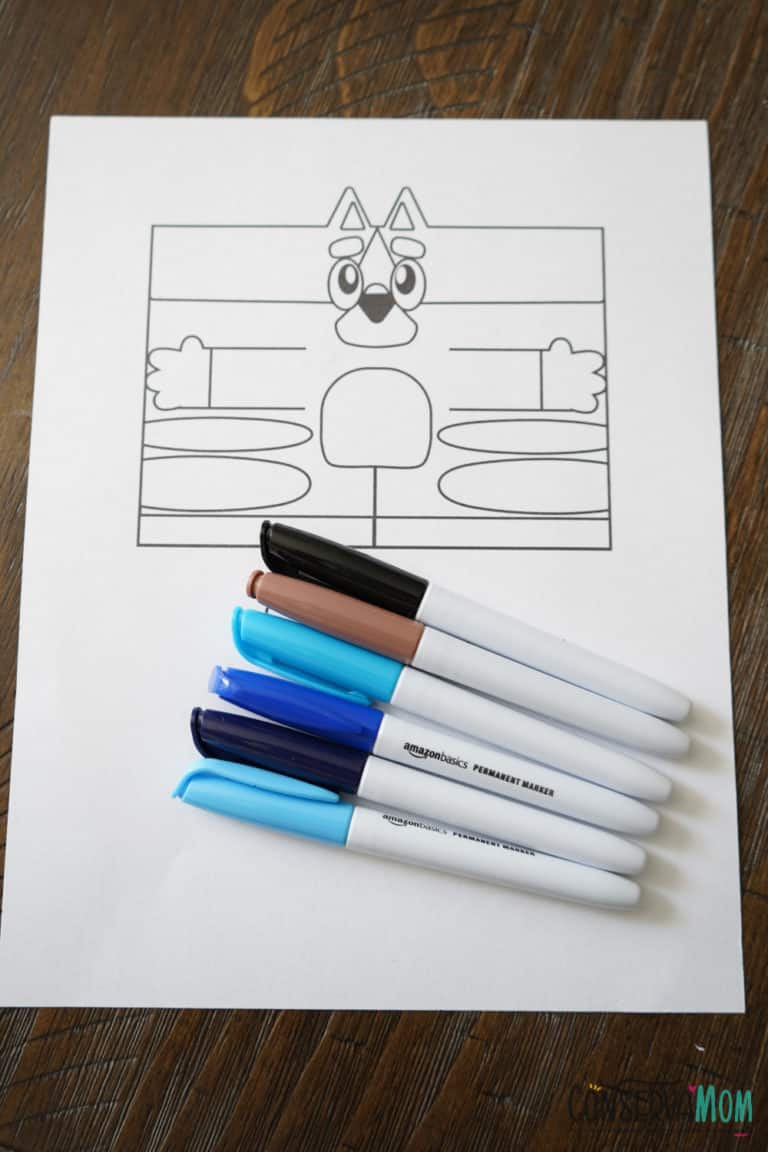 Bluey Toilet Paper Roll Craft - ConservaMom