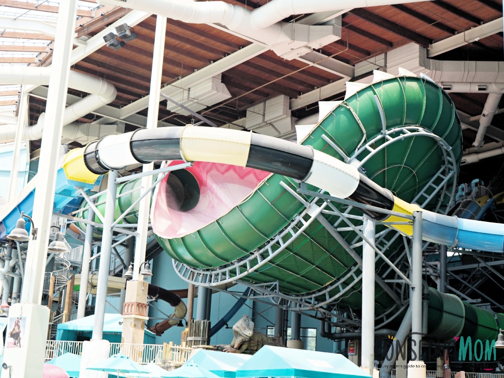 Camelback Resort's Indoor Waterpark - A Family Friendly