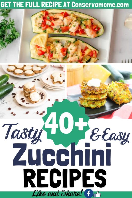 Easy Zucchini Recipes You Can Make! - ConservaMom