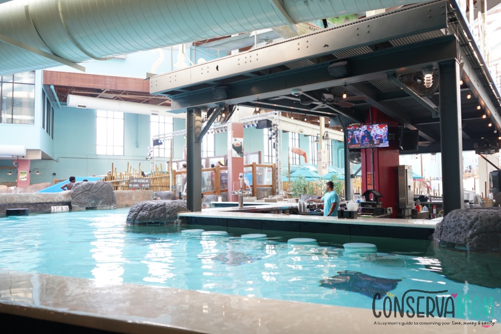 aquatopia indoor water park