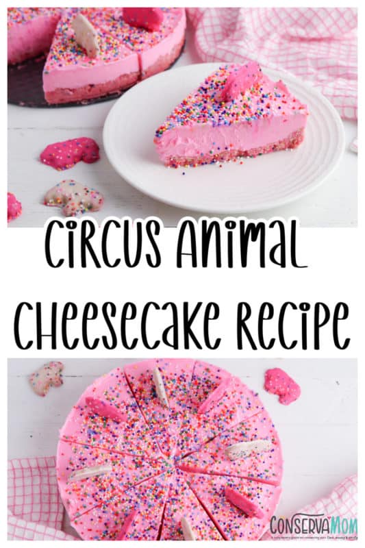 Circus Animal Cheesecake recipe ConservaMom