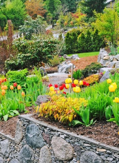 Inexpensive Ideas For Revamping Your Yard