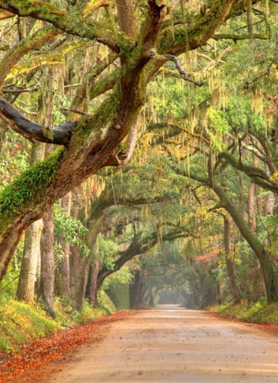 Why Is South Carolina One of the Most Remarkable Places for Family Vacation