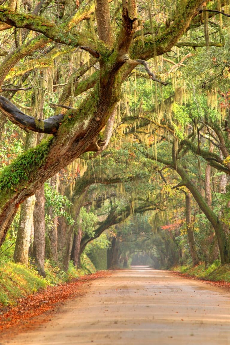 What Makes South Carolina A Remarkable place for a family vacation