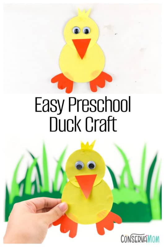 Easy Preschool Duck Craft - ConservaMom