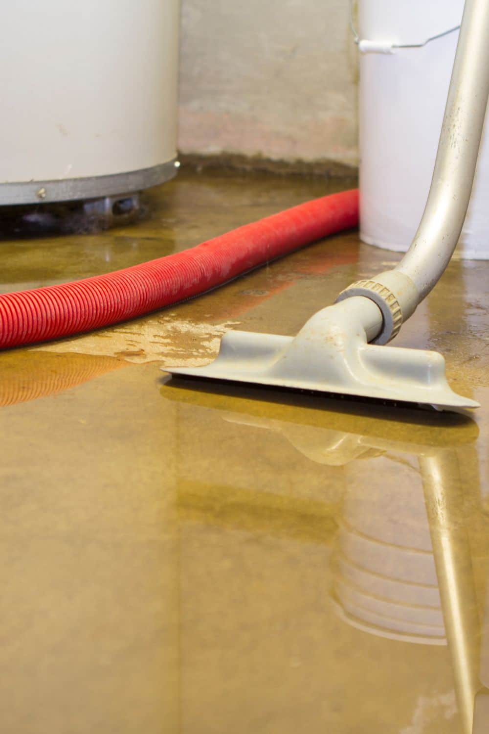 Basement Moisture Issues: Causes, Solutions, and Prevention Tips