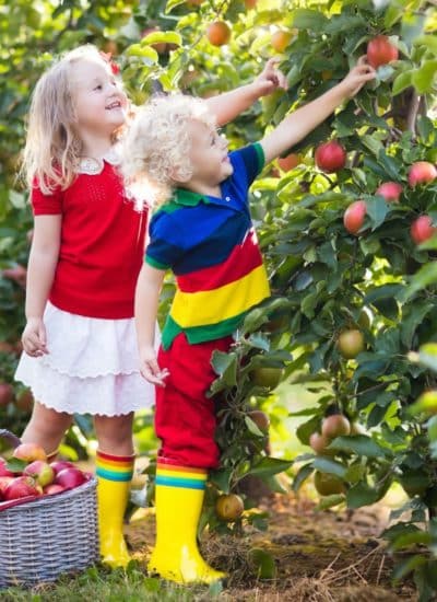 Why You Need To Take Care Of Your Garden When You Have Children