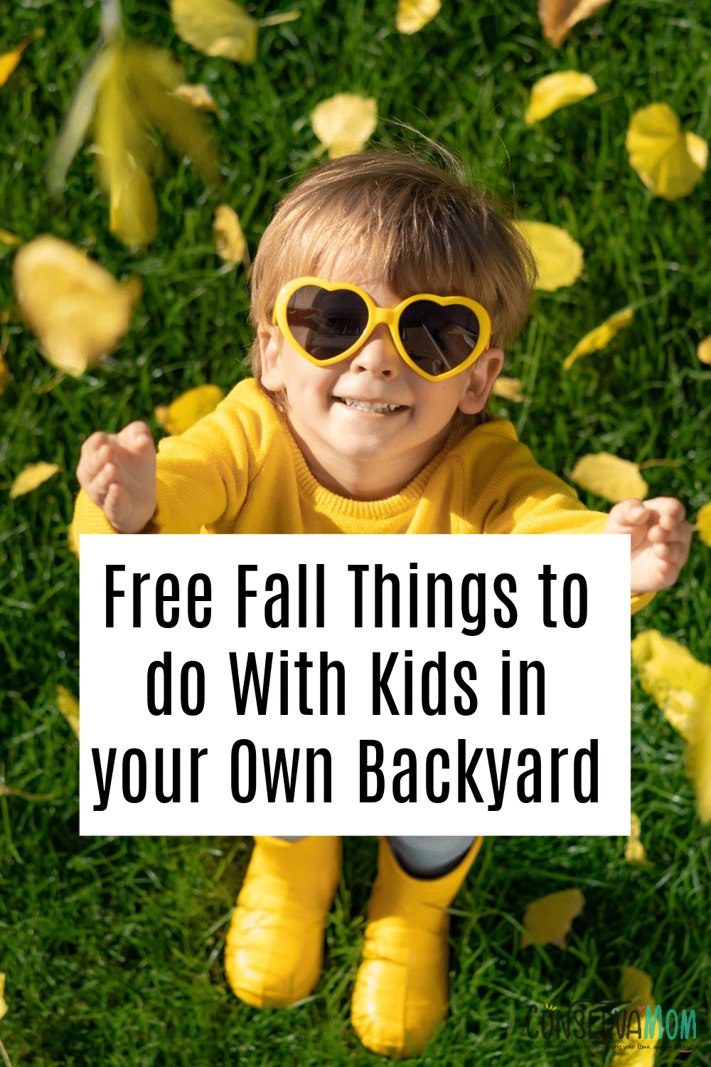 Free Fall Things to do With Kids in your Own Backyard