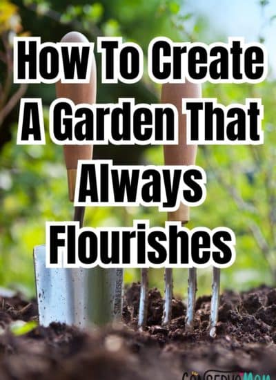 How To Create A Garden That Always Flourishes