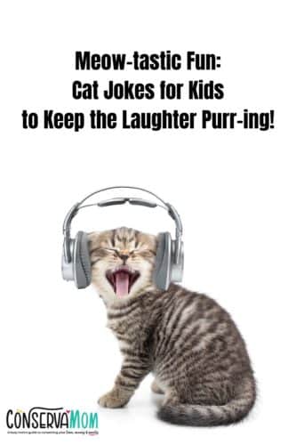 Meow-tastic Fun: Cat Jokes for Kids to Keep the Laughter Purr-ing ...