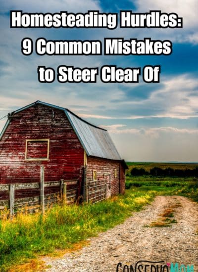 Homesteading Hurdles 9 Common Mistakes to Steer Clear Of