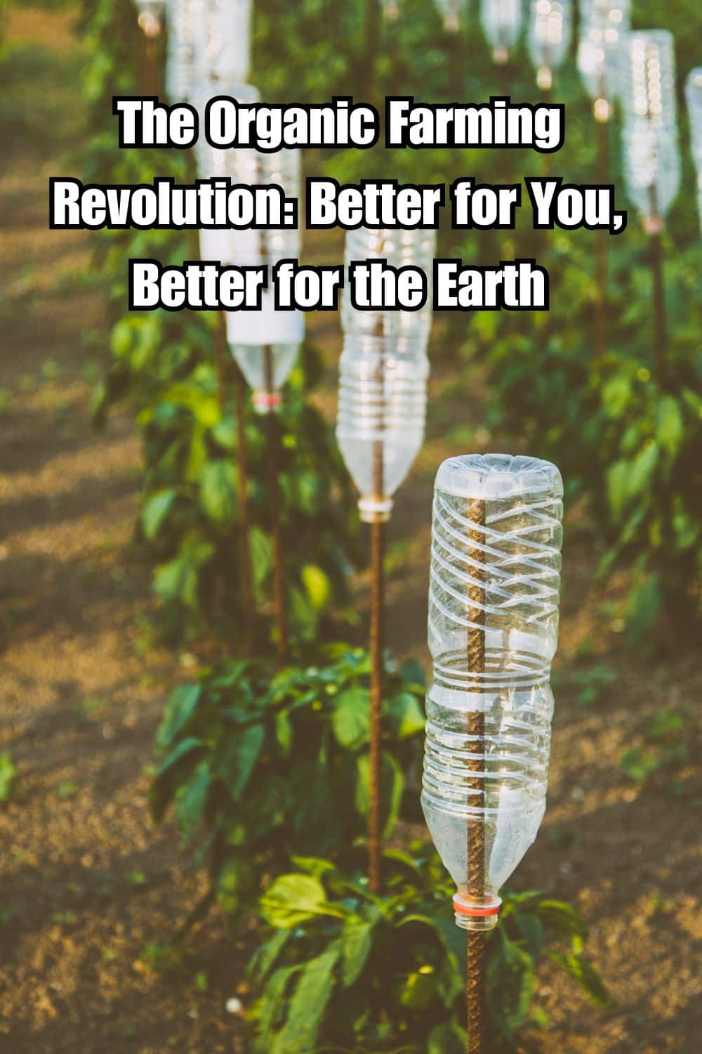 The Organic Farming Revolution Better for You, Better for the Earth