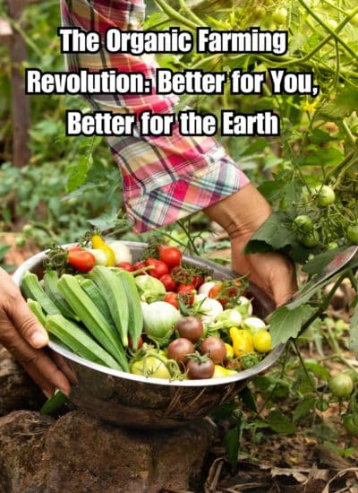 The Organic Farming Revolution Better for You, Better for the Earth