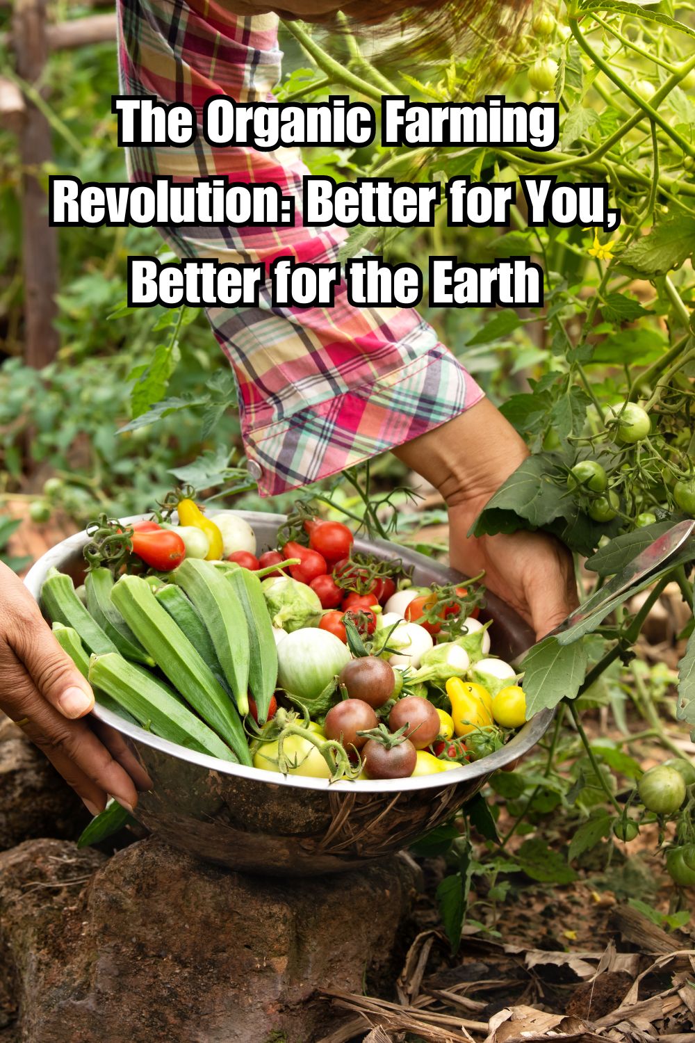 Organic Farming Revolution: Better for You, Better for the Earth