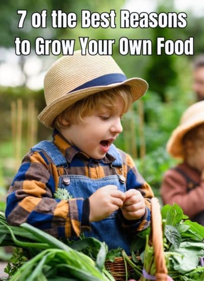 7 of the Best Reasons to Grow Your Own Food