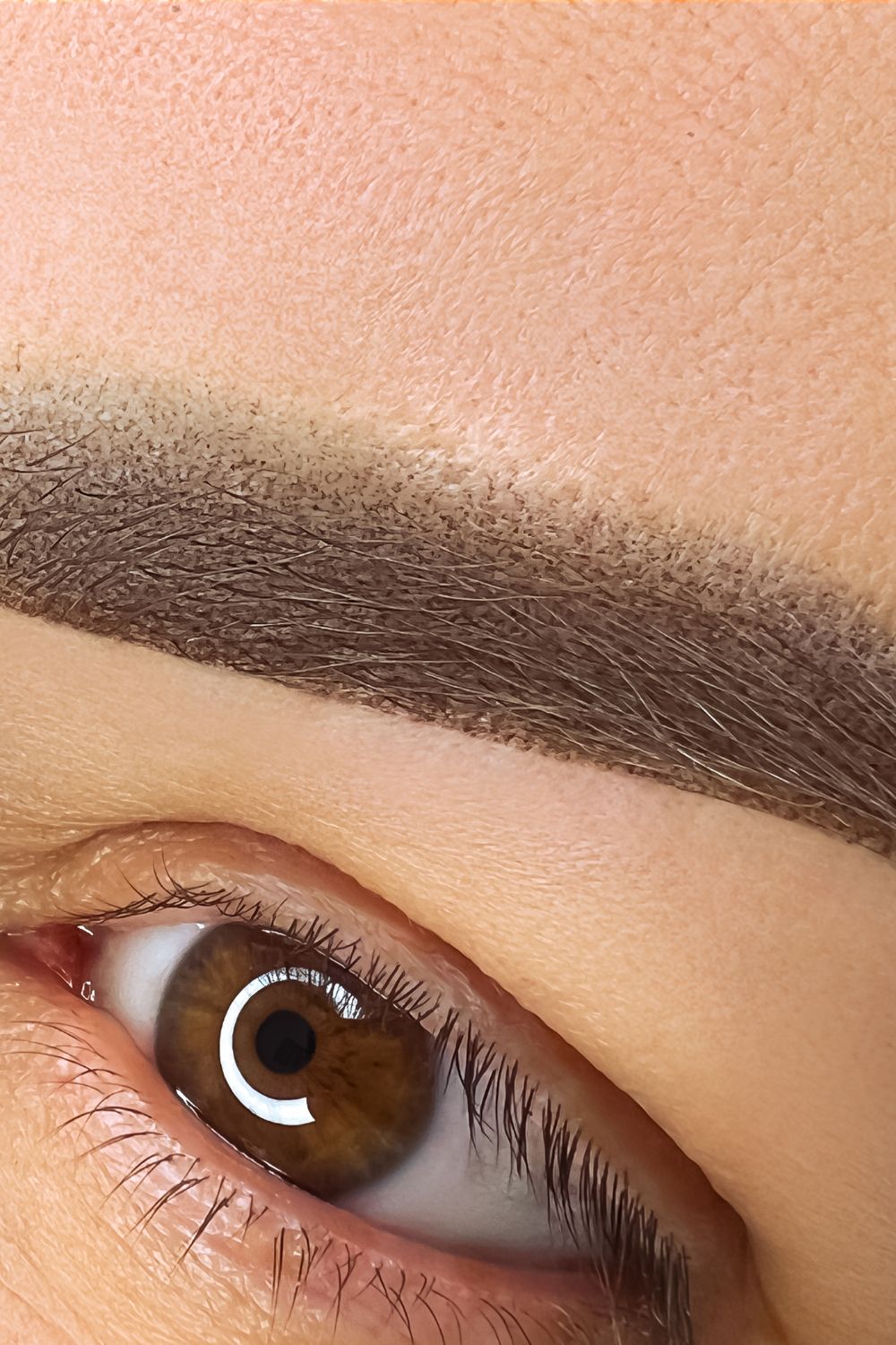 Maximizing Your Eyebrow Potential: A Guide to Natural Brow Enhancement