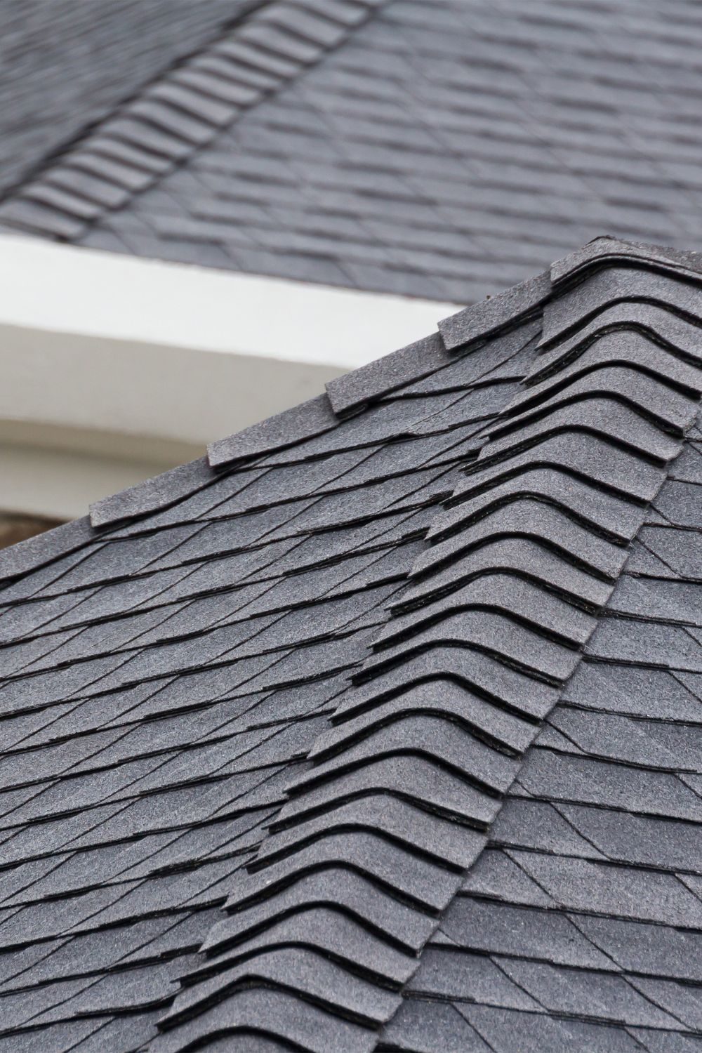 Understanding the Value of Preventive Roof Care
