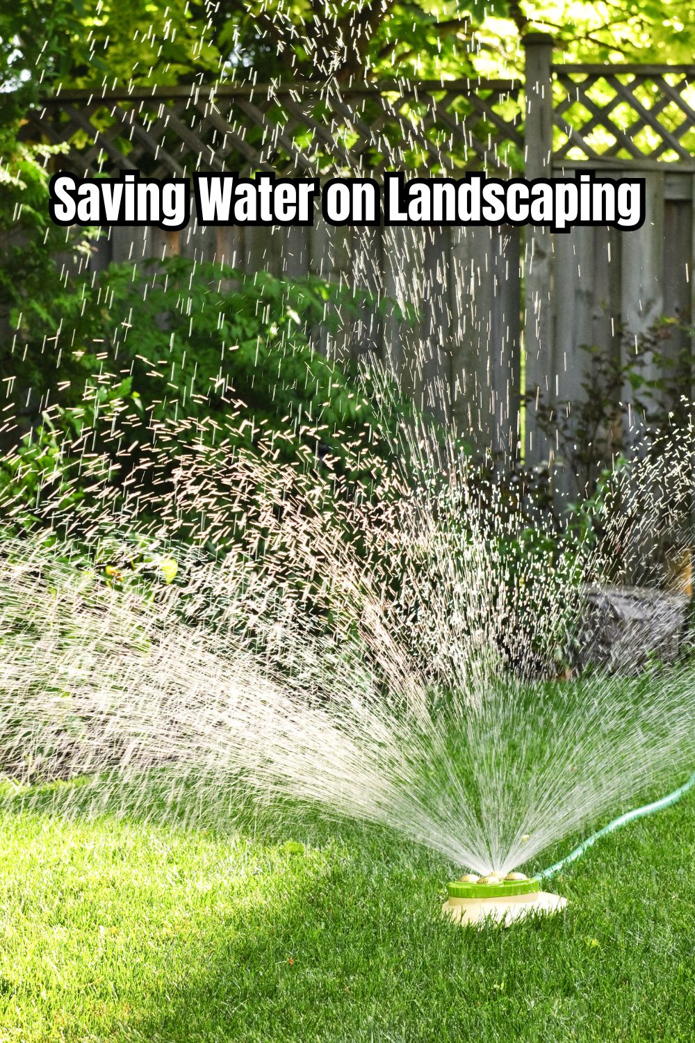 Saving Water on landscaping
