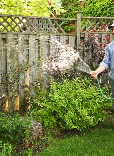 Although landscaping can look beautiful it needs a lot of water. Find out ways on Saving water on landscaping.