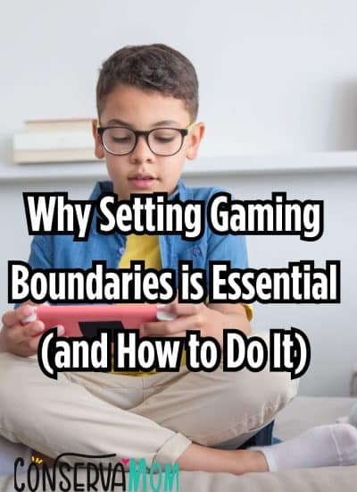 Why Setting Gaming Boundaries is Essential (and How to Do It) (2)