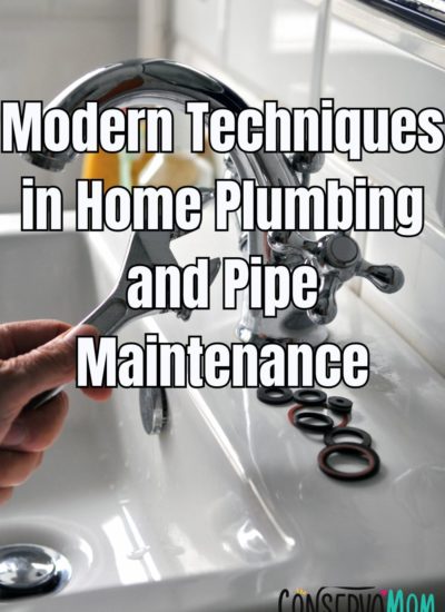 Modern Techniques in Home Plumbing and Pipe Maintenance