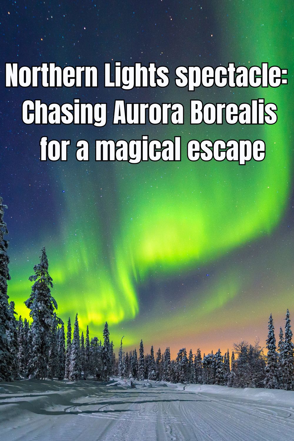 Northern Lights spectacle chasing Aurora Borealis for a magical escape 