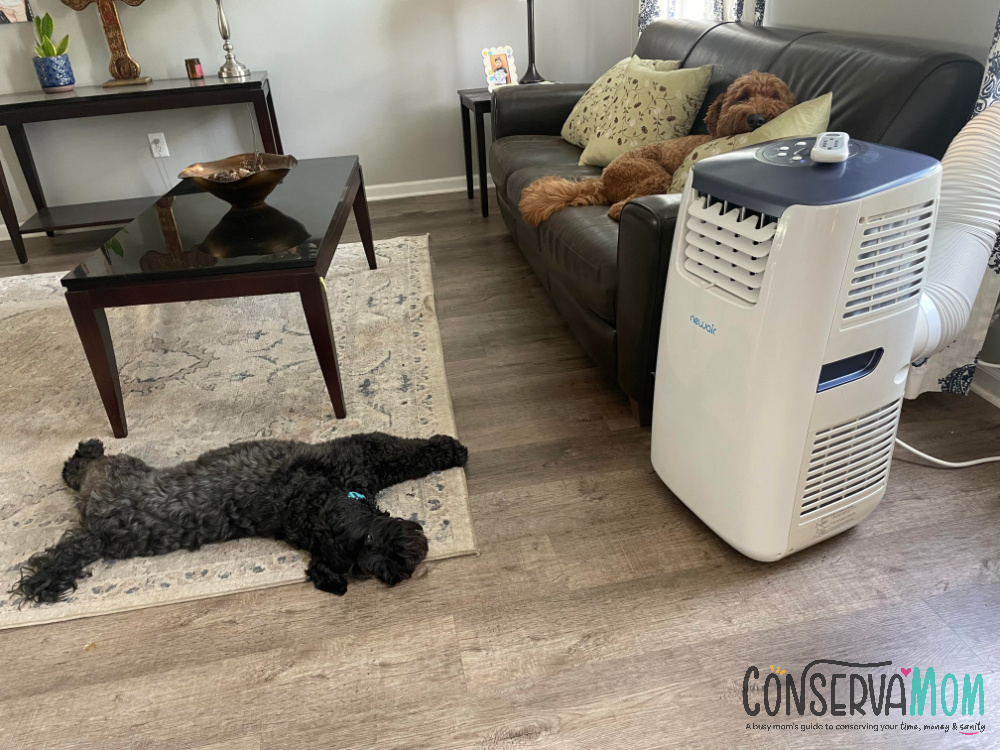 5 Reasons to Own a Newair Portable Air Conditioner and Heater AC-14100H 