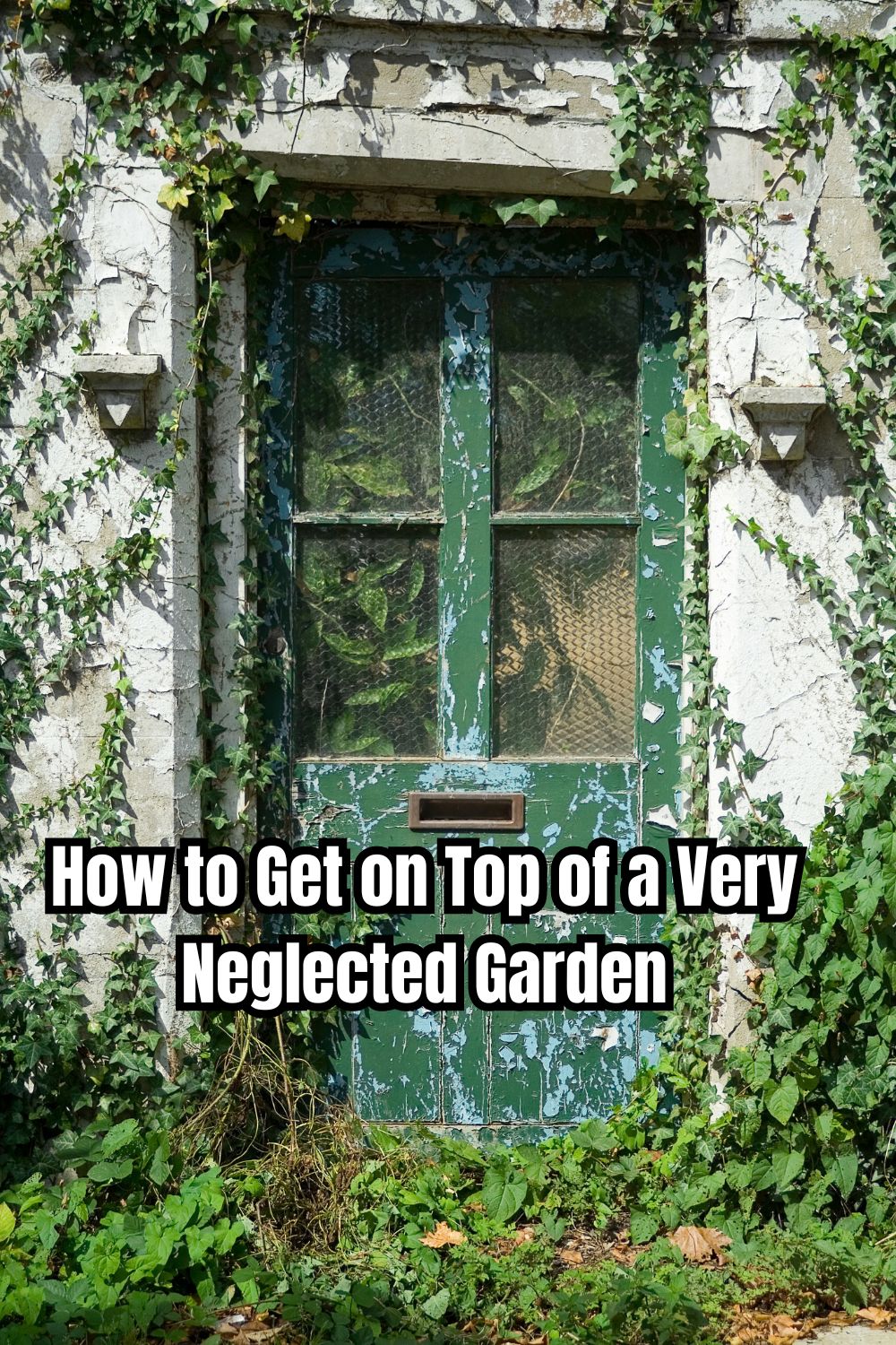 How to Get on Top of a Very Neglected Garden