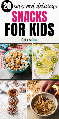 Easy Snacks For Kids - ConservaMom