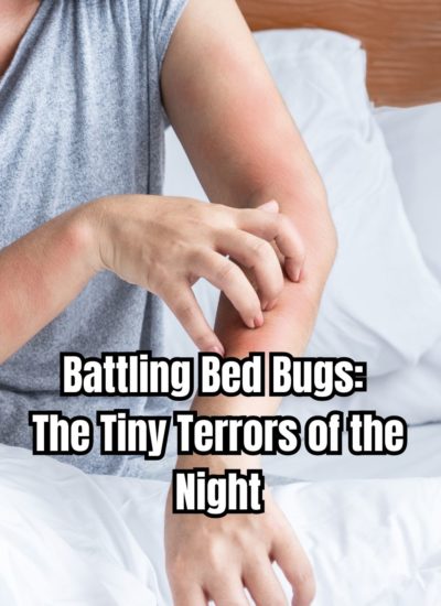 Battling Bed Bugs The Tiny Terrors of the Night