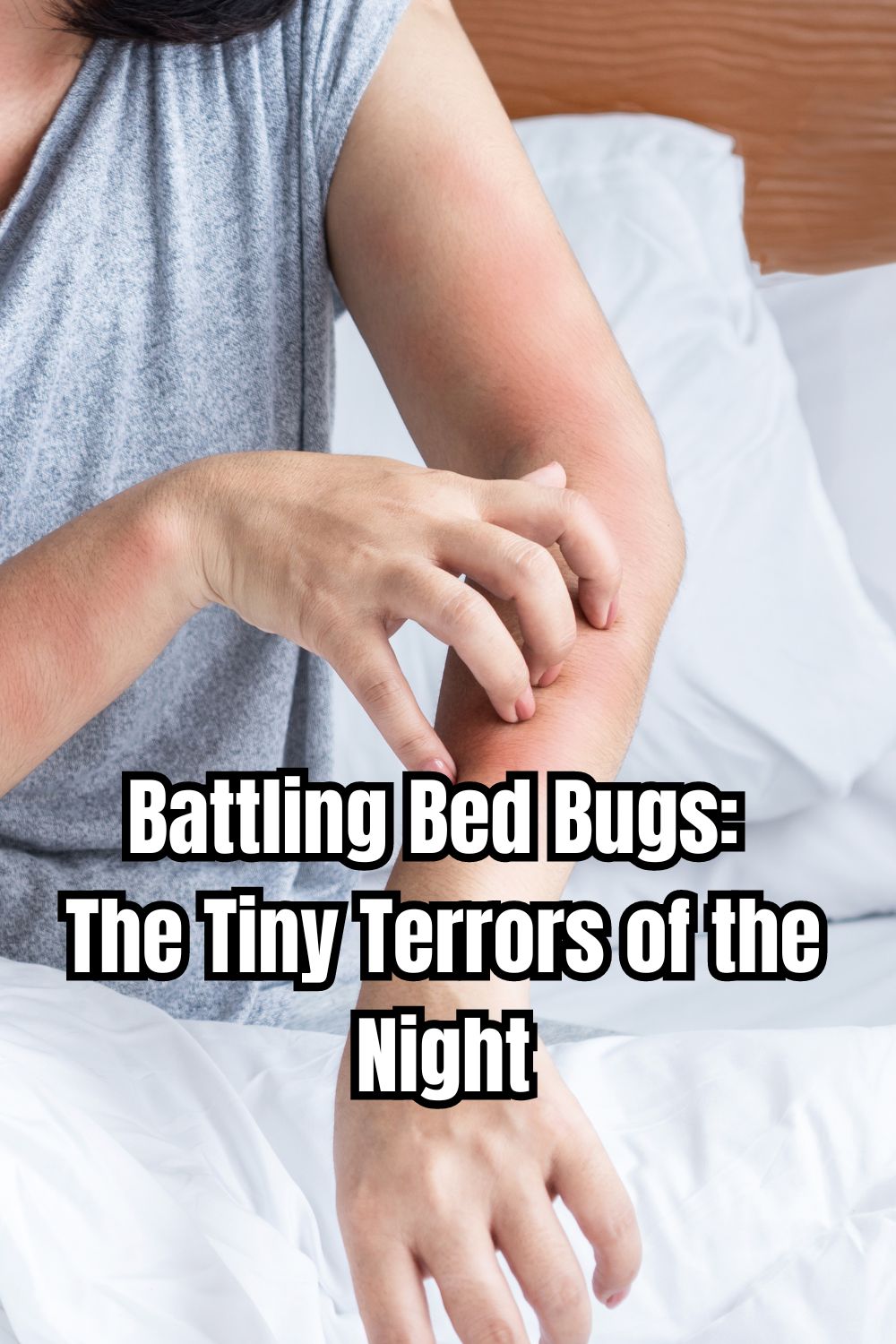 Battling Bed Bugs The Tiny Terrors of the Night 