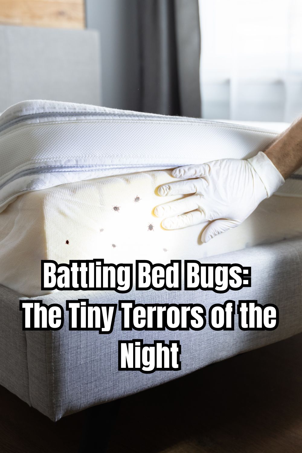 Battling Bed Bugs The Tiny Terrors of the Night