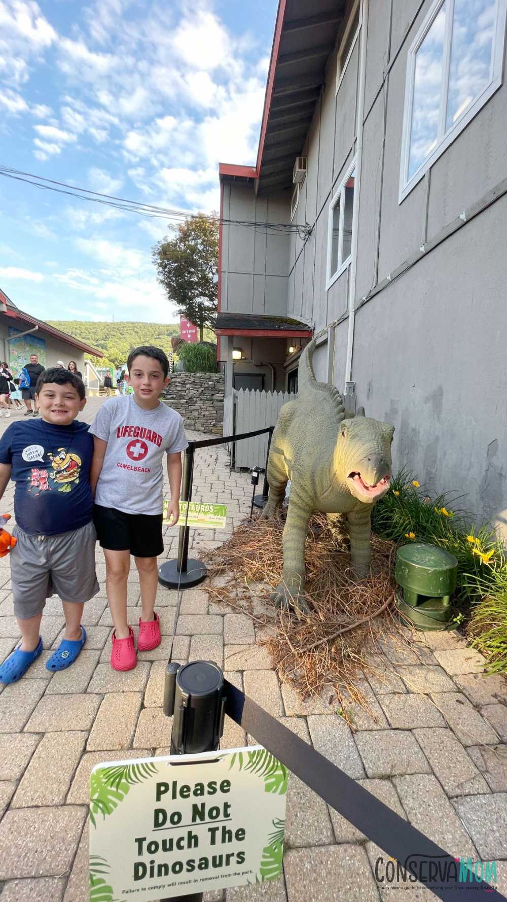 Camelbeach at Camelback Resort Dinobeach