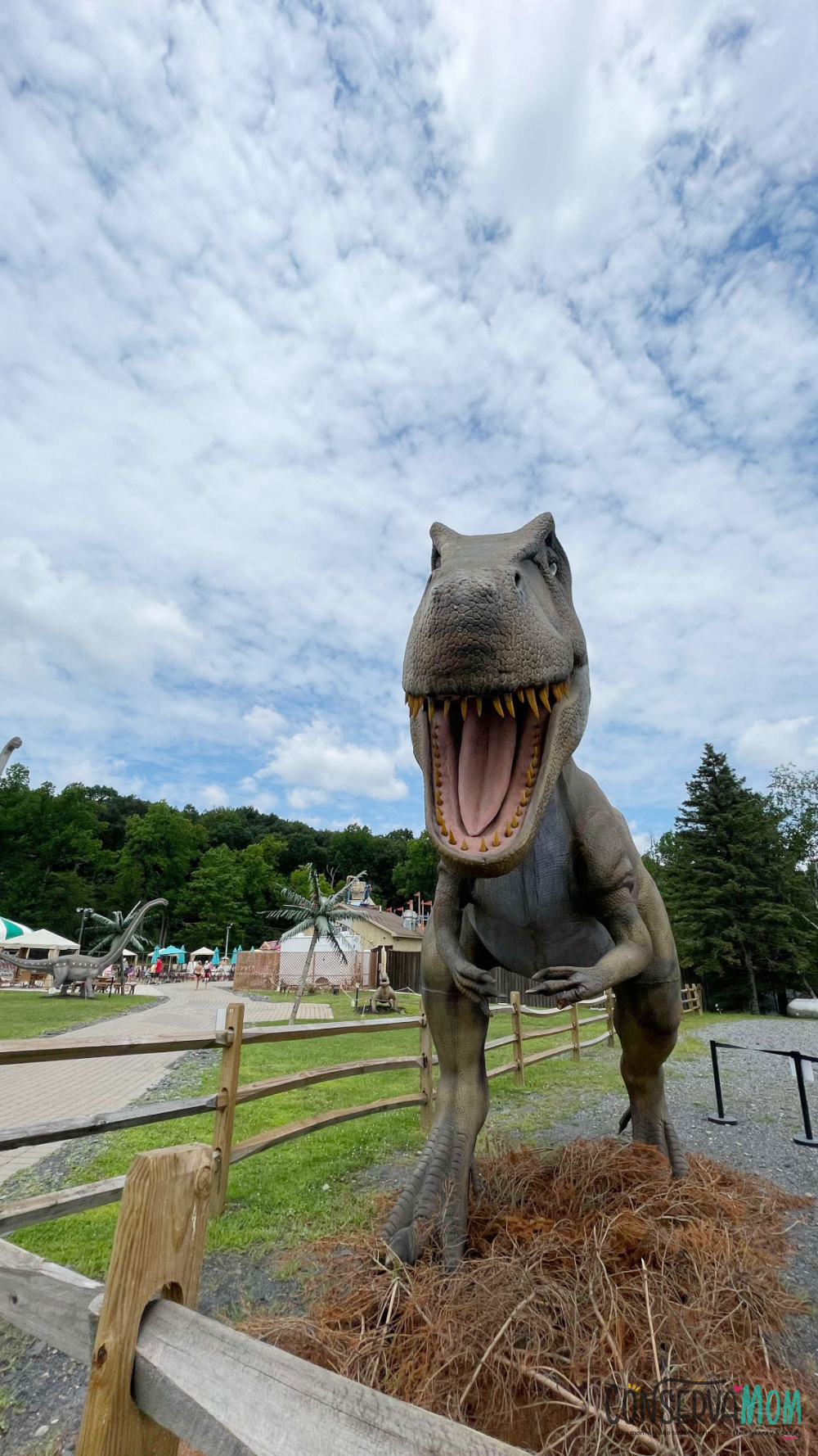 Camelbeach at Camelback Resort Dinobeach