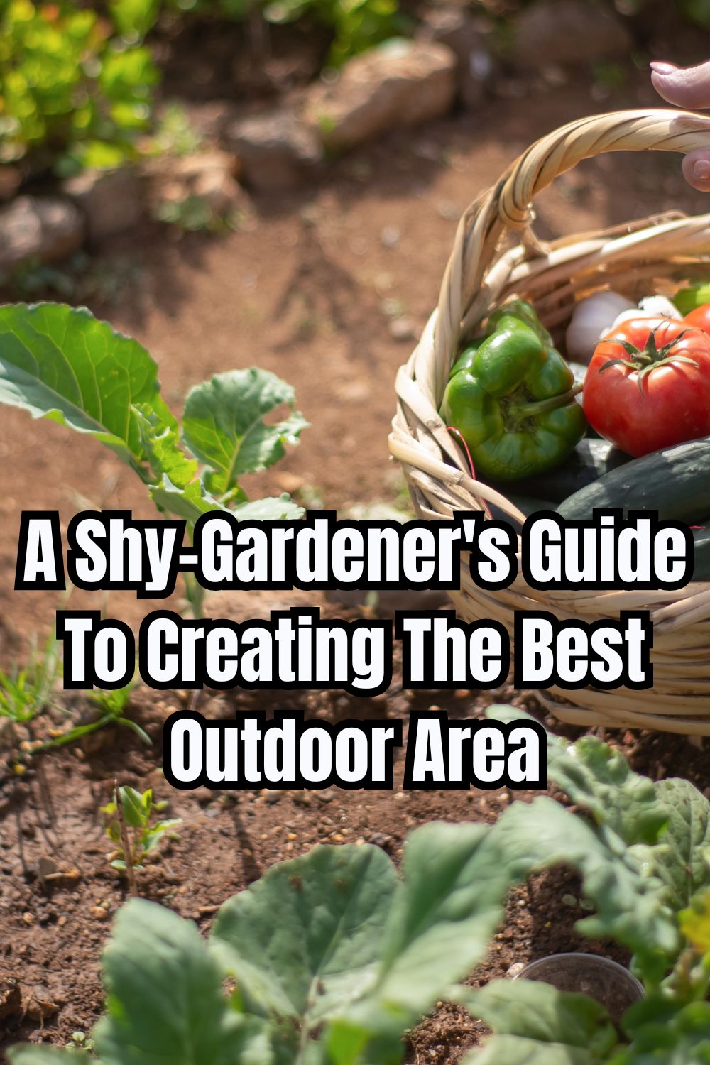 A Shy-Gardener's Guide To Creating The Best Outdoor Area